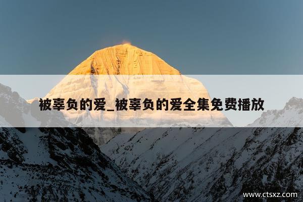 被辜负的爱_被辜负的爱全集免费播放