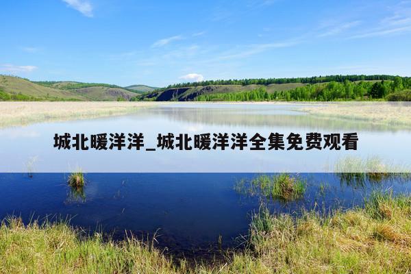城北暖洋洋_城北暖洋洋全集免费观看