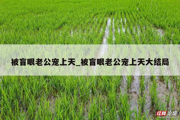被盲眼老公宠上天_被盲眼老公宠上天大结局