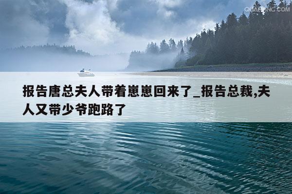 报告唐总夫人带着崽崽回来了_报告总裁,夫人又带少爷跑路了