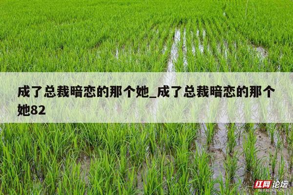 成了总裁暗恋的那个她_成了总裁暗恋的那个她82
