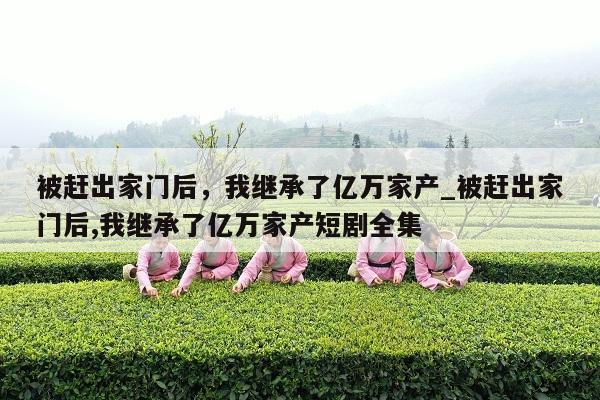 被赶出家门后，我继承了亿万家产_被赶出家门后,我继承了亿万家产短剧全集