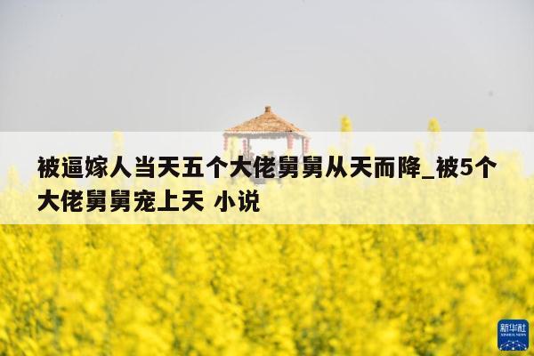被逼嫁人当天五个大佬舅舅从天而降_被5个大佬舅舅宠上天 小说