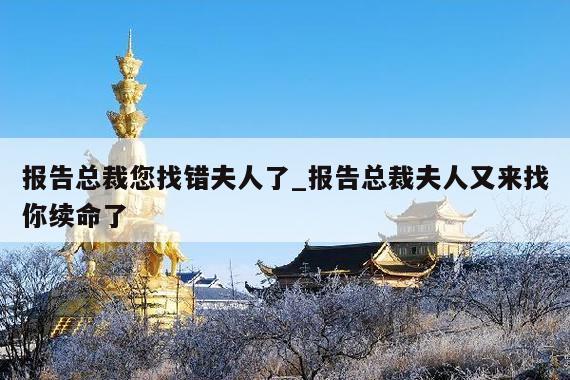 报告总裁您找错夫人了_报告总裁夫人又来找你续命了
