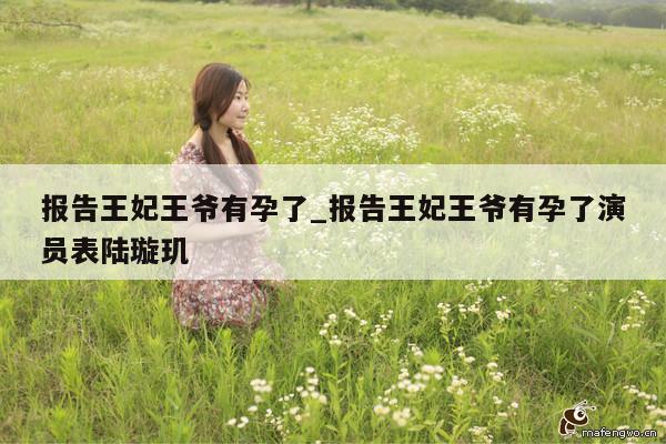 报告王妃王爷有孕了_报告王妃王爷有孕了演员表陆璇玑