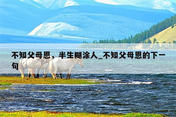 不知父母恩，半生糊涂人_不知父母恩的下一句