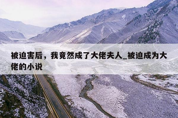 被迫害后，我竟然成了大佬夫人_被迫成为大佬的小说