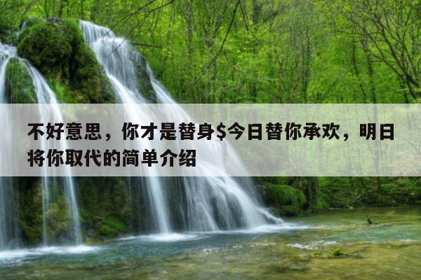 不好意思，你才是替身$今日替你承欢，明日将你取代的简单介绍
