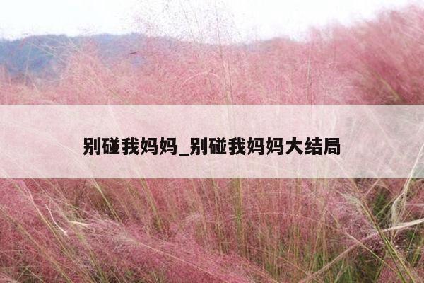 别碰我妈妈_别碰我妈妈大结局