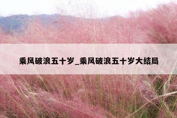 乘风破浪五十岁_乘风破浪五十岁大结局