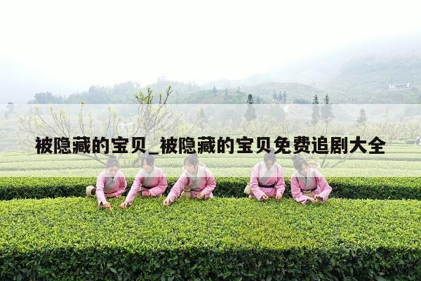 被隐藏的宝贝_被隐藏的宝贝免费追剧大全