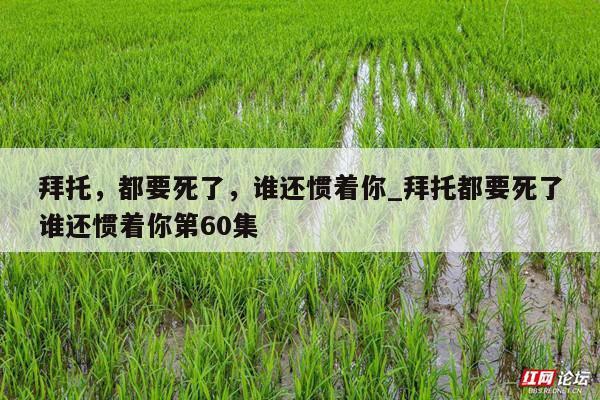 拜托，都要死了，谁还惯着你_拜托都要死了谁还惯着你第60集