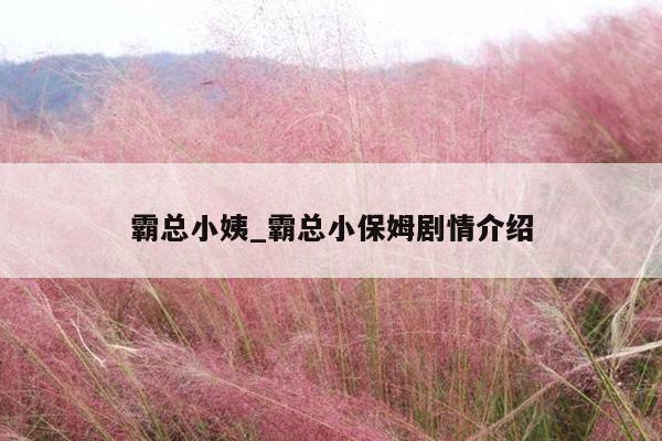 霸总小姨_霸总小保姆剧情介绍