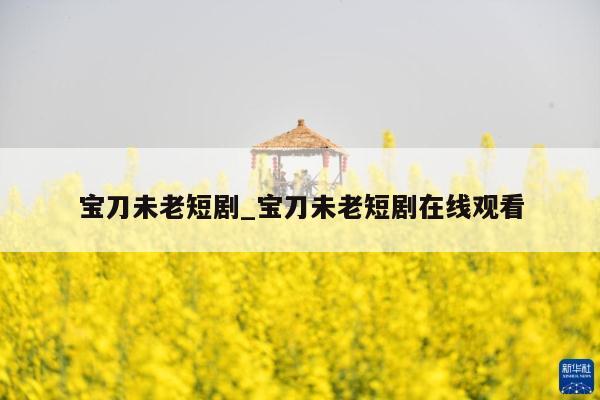 宝刀未老短剧_宝刀未老短剧在线观看