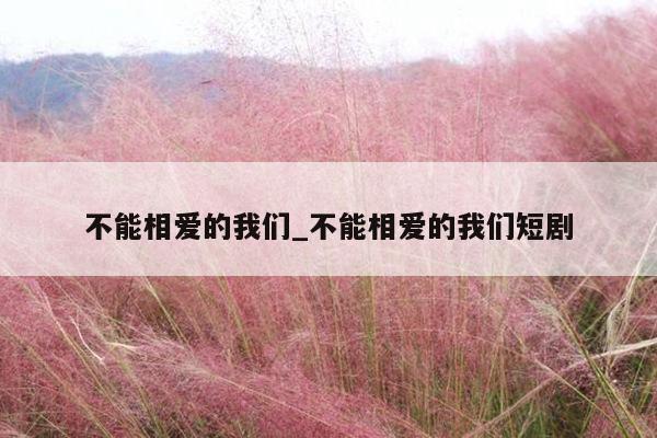 不能相爱的我们_不能相爱的我们短剧