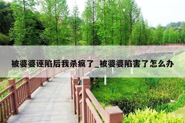 被婆婆诬陷后我杀疯了_被婆婆陷害了怎么办