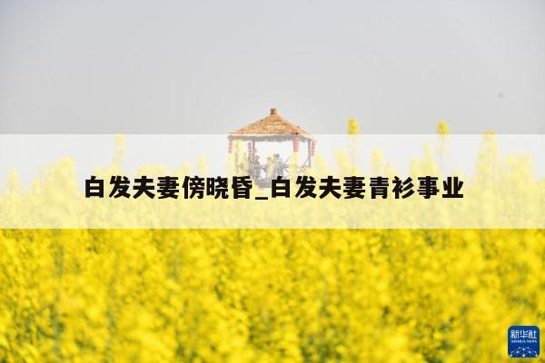 白发夫妻傍晓昏_白发夫妻青衫事业