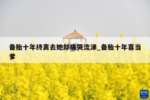 备胎十年终离去她却痛哭流涕_备胎十年喜当爹