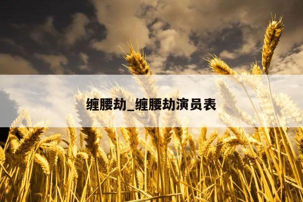 缠腰劫_缠腰劫演员表