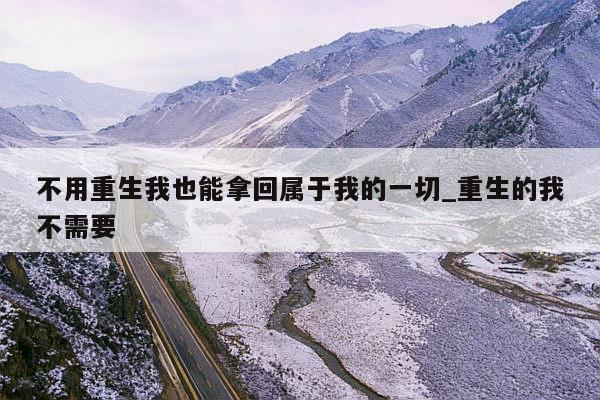 不用重生我也能拿回属于我的一切_重生的我不需要