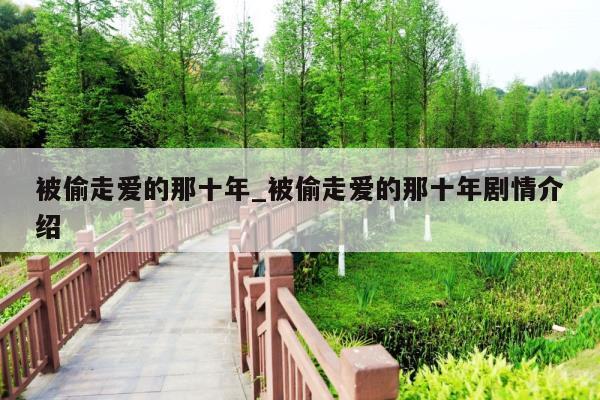 被偷走爱的那十年_被偷走爱的那十年剧情介绍