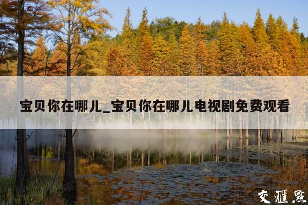 宝贝你在哪儿_宝贝你在哪儿电视剧免费观看