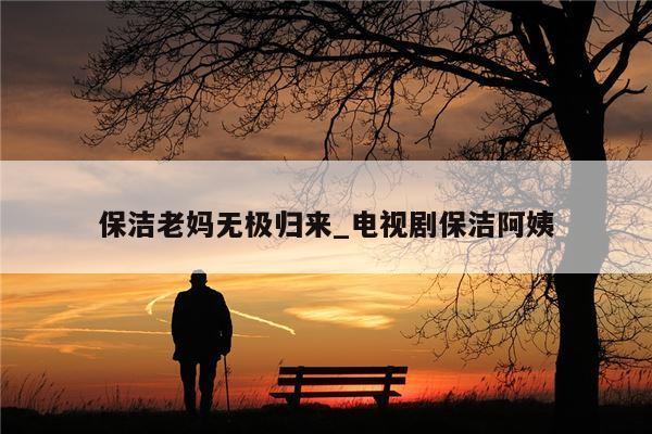 保洁老妈无极归来_电视剧保洁阿姨