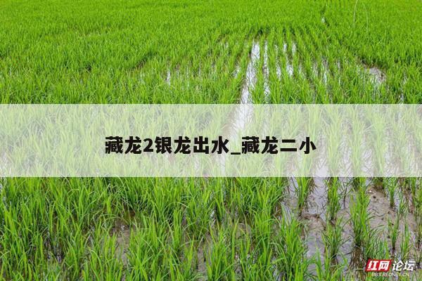 藏龙2银龙出水_藏龙二小