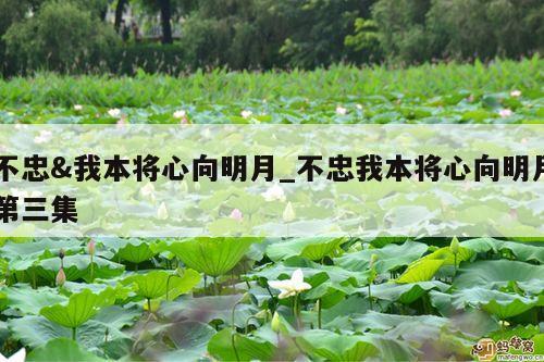 不忠&我本将心向明月_不忠我本将心向明月第三集