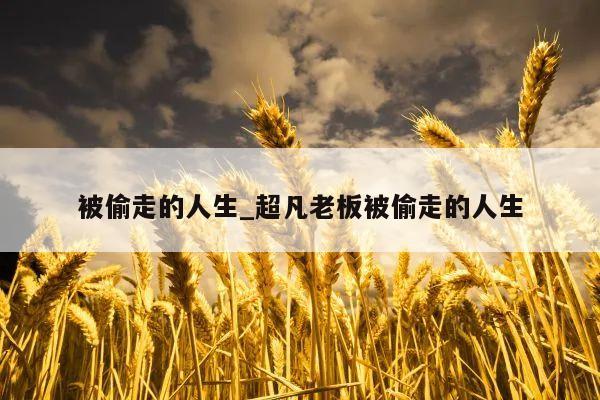 被偷走的人生_超凡老板被偷走的人生