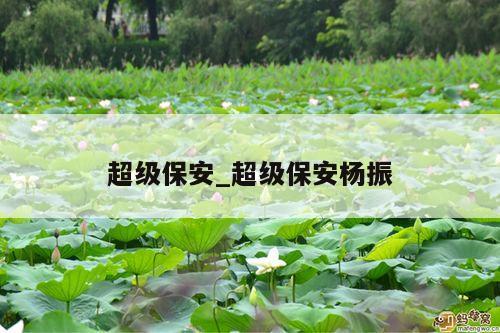 超级保安_超级保安杨振