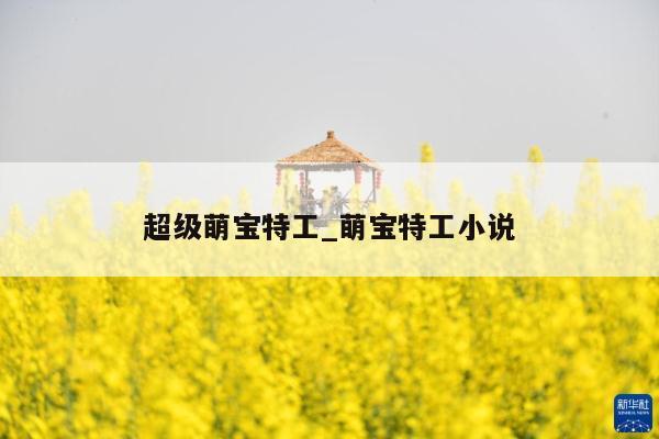 超级萌宝特工_萌宝特工小说
