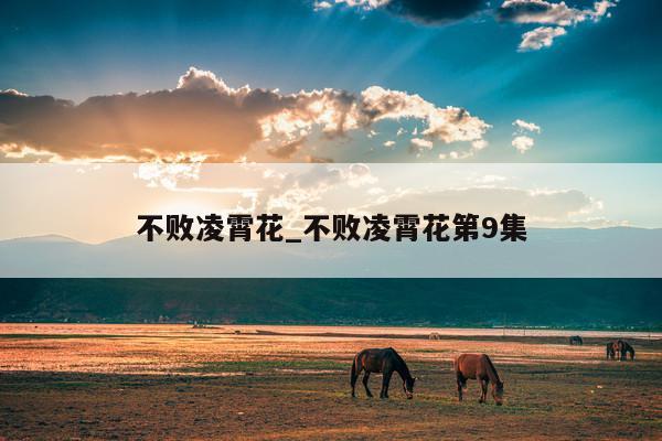 不败凌霄花_不败凌霄花第9集