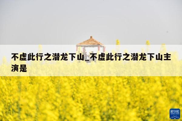 不虚此行之潜龙下山_不虚此行之潜龙下山主演是