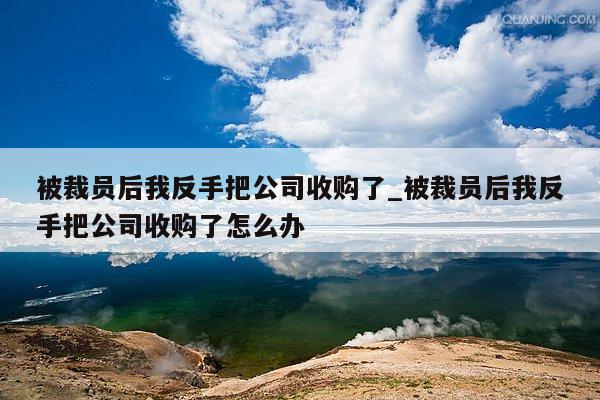 被裁员后我反手把公司收购了_被裁员后我反手把公司收购了怎么办