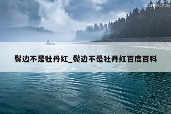 鬓边不是牡丹红_鬓边不是牡丹红百度百科