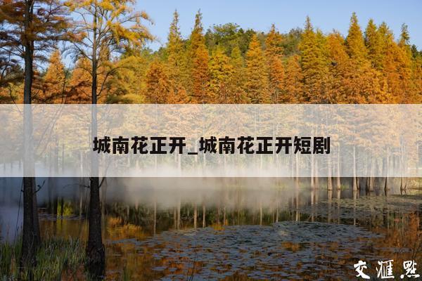 城南花正开_城南花正开短剧