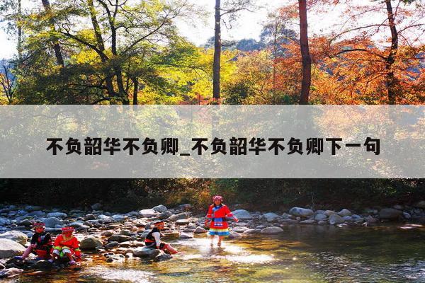 不负韶华不负卿_不负韶华不负卿下一句