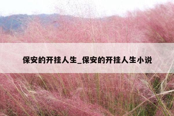 保安的开挂人生_保安的开挂人生小说