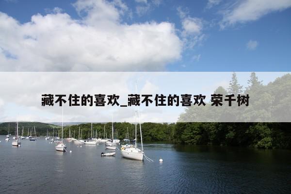 藏不住的喜欢_藏不住的喜欢 荣千树