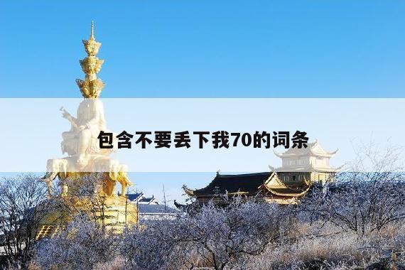包含不要丢下我70的词条