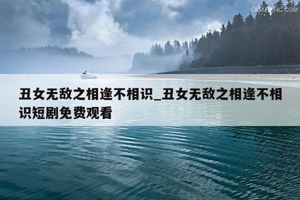 丑女无敌之相逢不相识_丑女无敌之相逢不相识短剧免费观看
