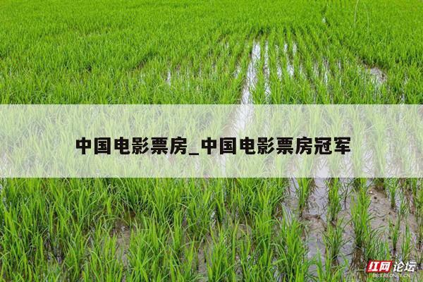 中国电影票房_中国电影票房冠军