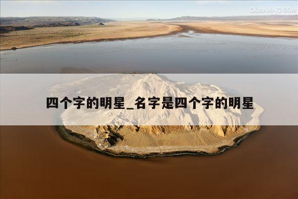 四个字的明星_名字是四个字的明星