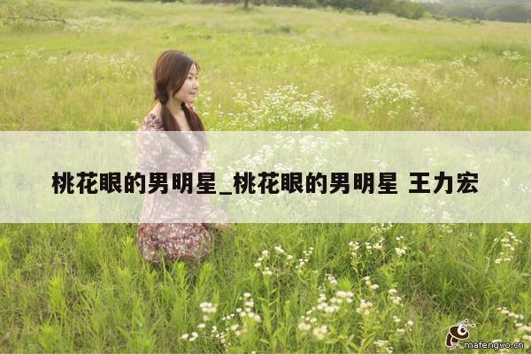 桃花眼的男明星_桃花眼的男明星 王力宏