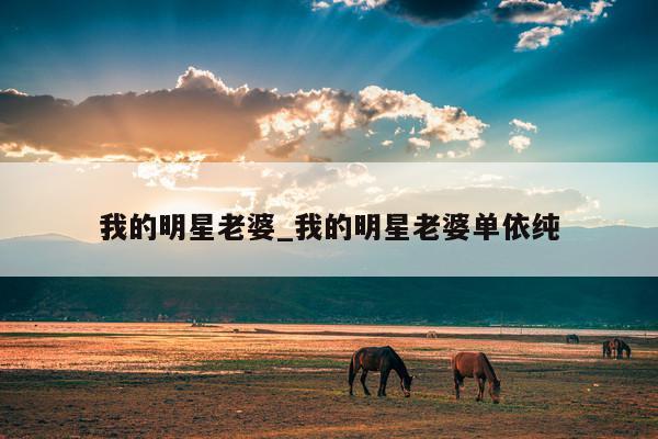 我的明星老婆_我的明星老婆单依纯