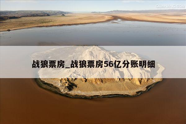 战狼票房_战狼票房56亿分账明细