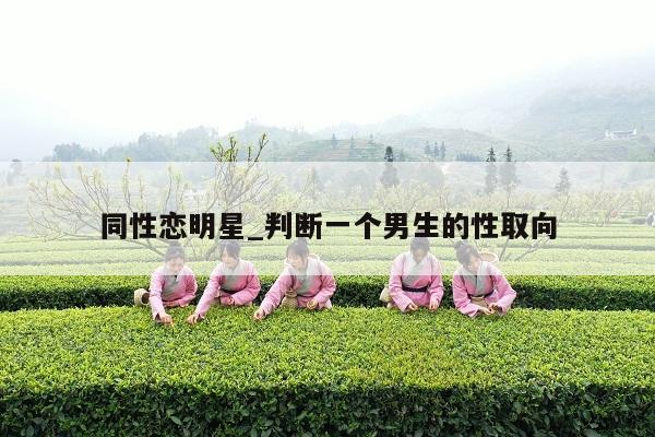 同性恋明星_判断一个男生的性取向