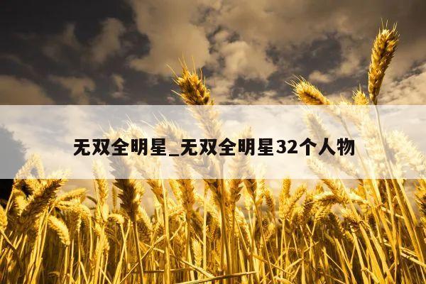 无双全明星_无双全明星32个人物