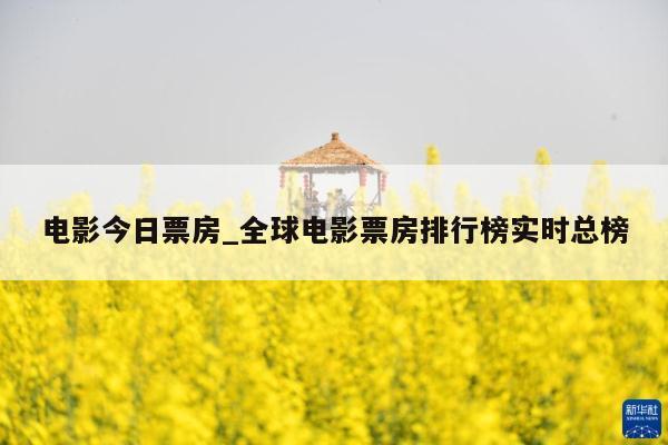电影今日票房_全球电影票房排行榜实时总榜